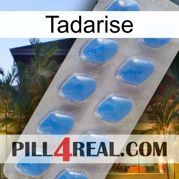 Tadarise 22.jpg